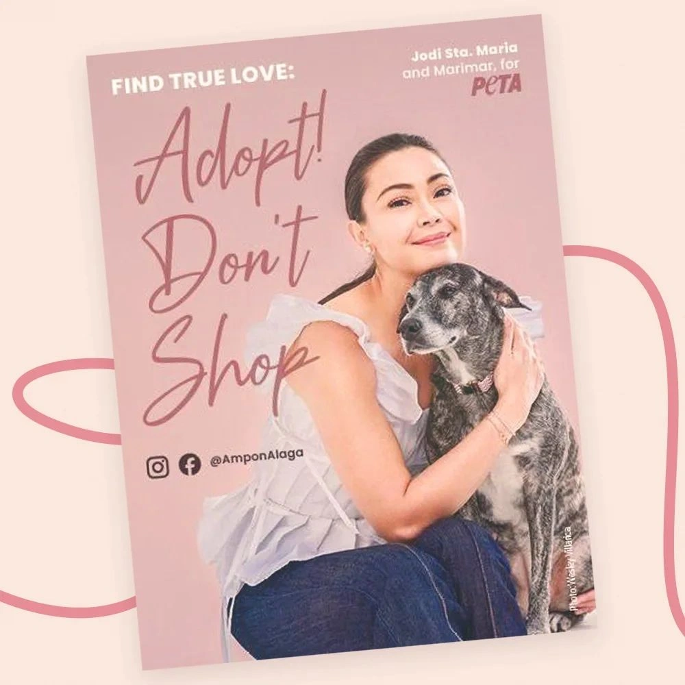 You are currently viewing Beautiful Philippines Actress with Jodi Sta Maria on Hot51
